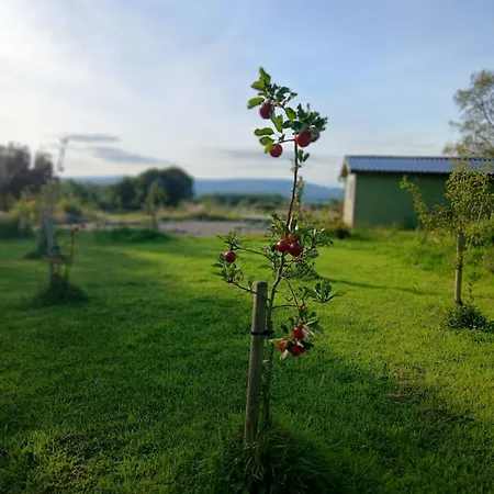 Caherhurley Tuamgraney