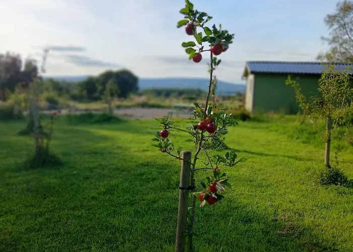 Caherhurley Tuamgraney